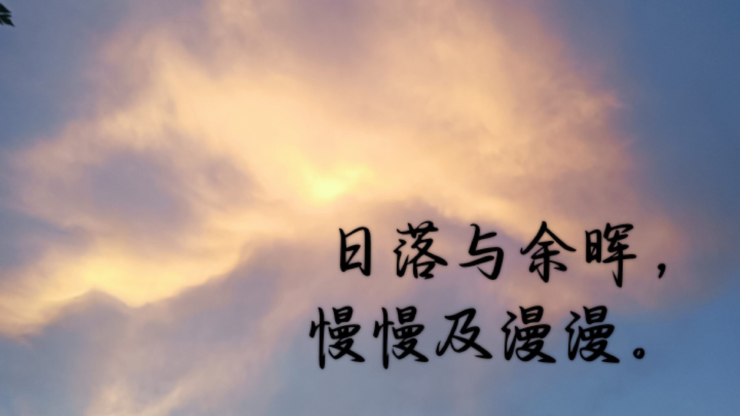 暑假打卡第十一天